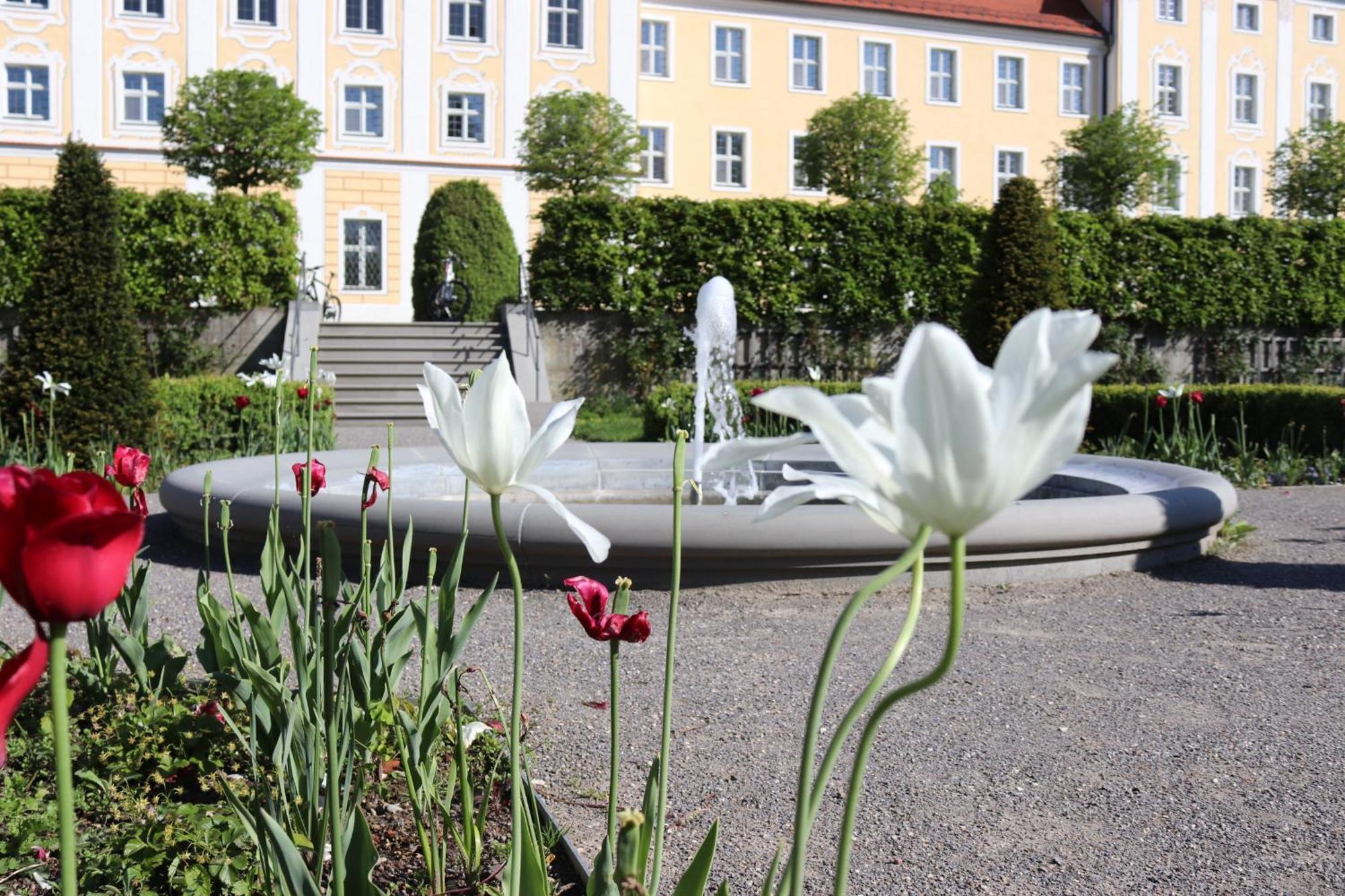 Klostergasthof Roggenburg Екстериор снимка