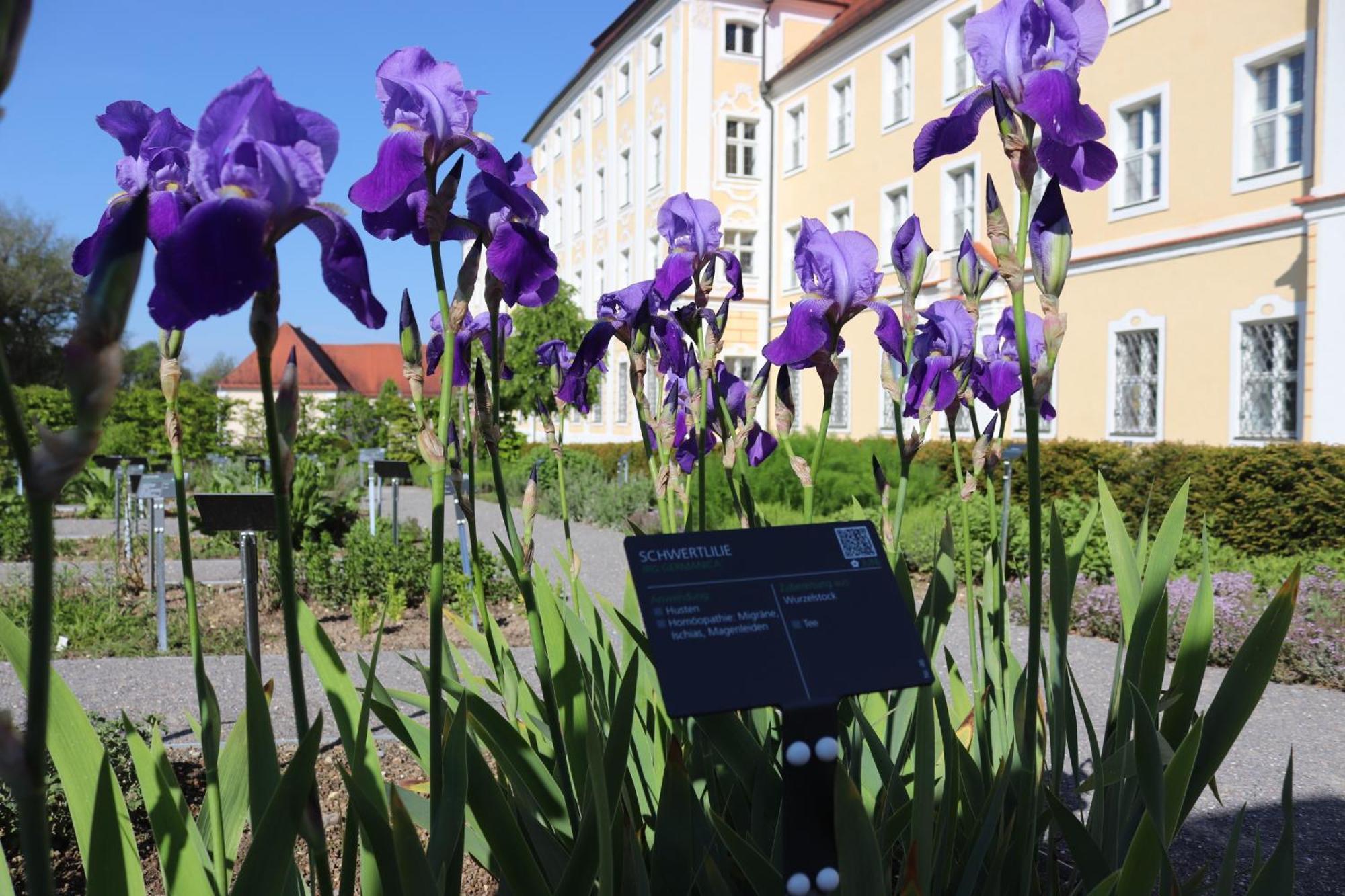 Klostergasthof Roggenburg Екстериор снимка