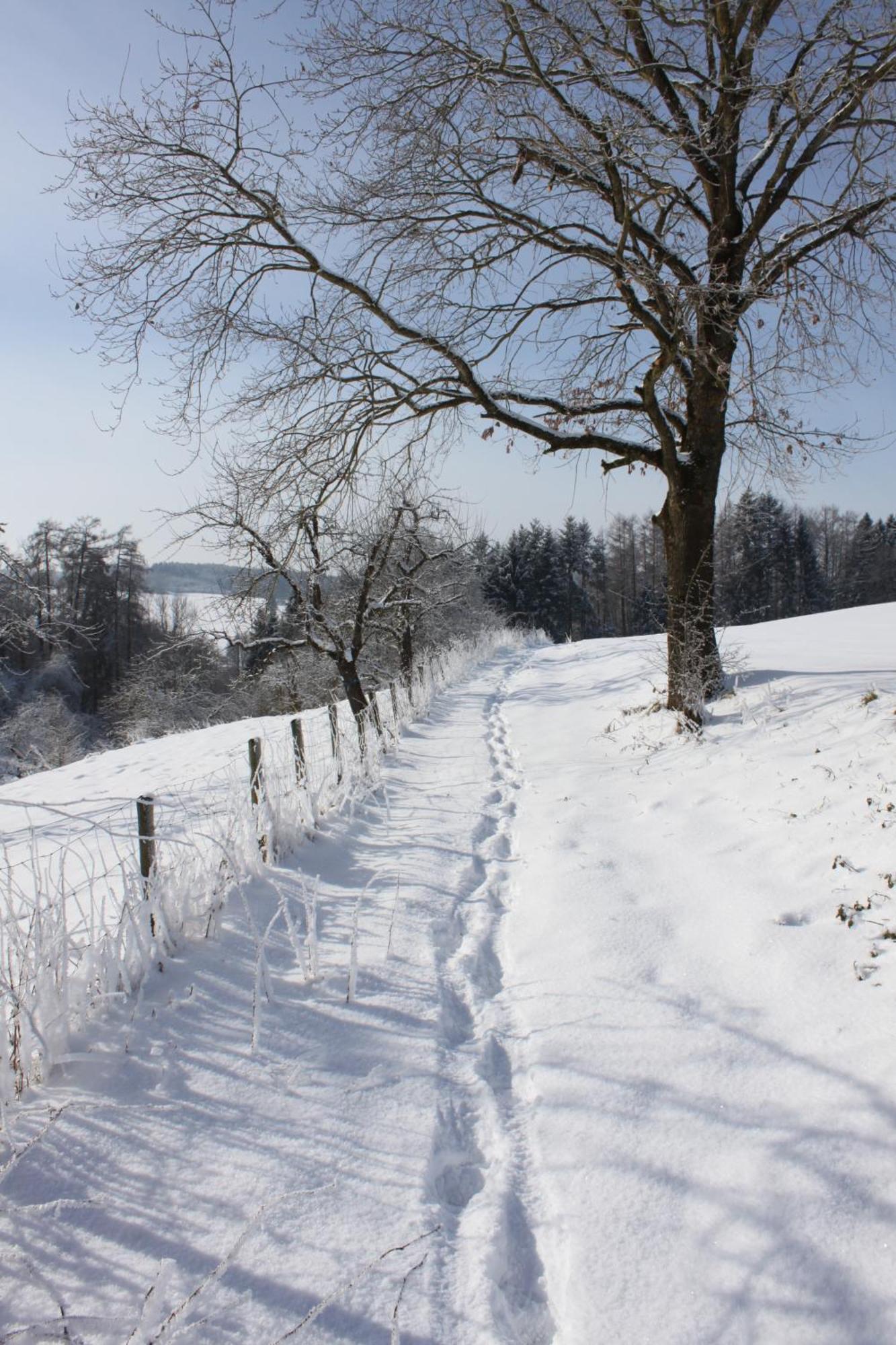 Klostergasthof Roggenburg Екстериор снимка